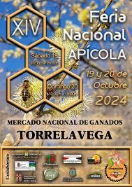 2024 torrelavega